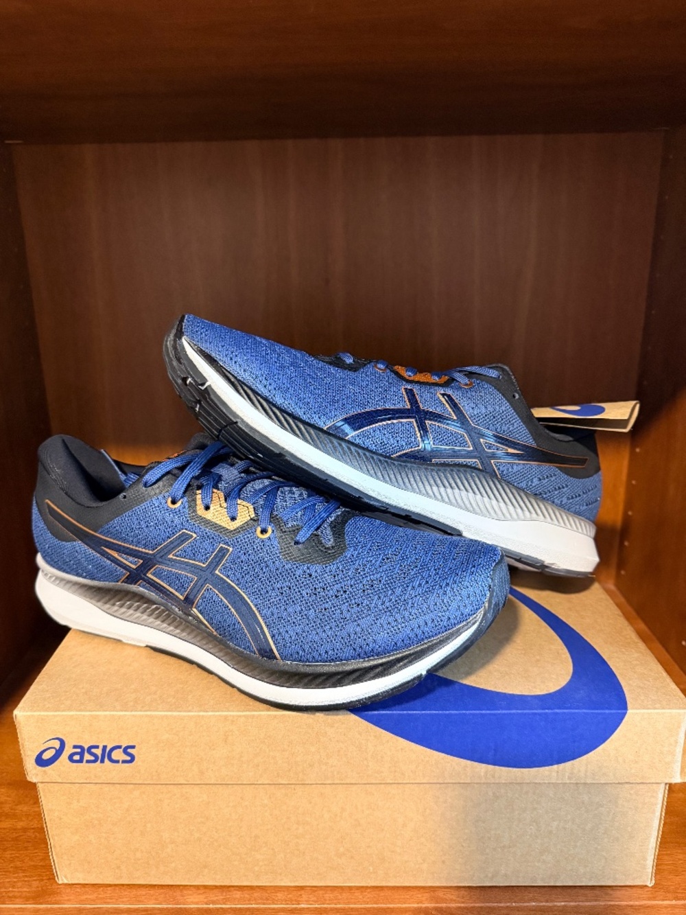 Mens Asics Ezeride